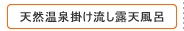 �V�R����|�������I�V���C