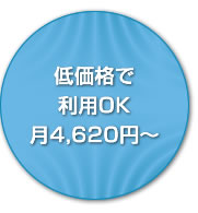 �ቿ�i�ŗ��pOK��4,500�~��